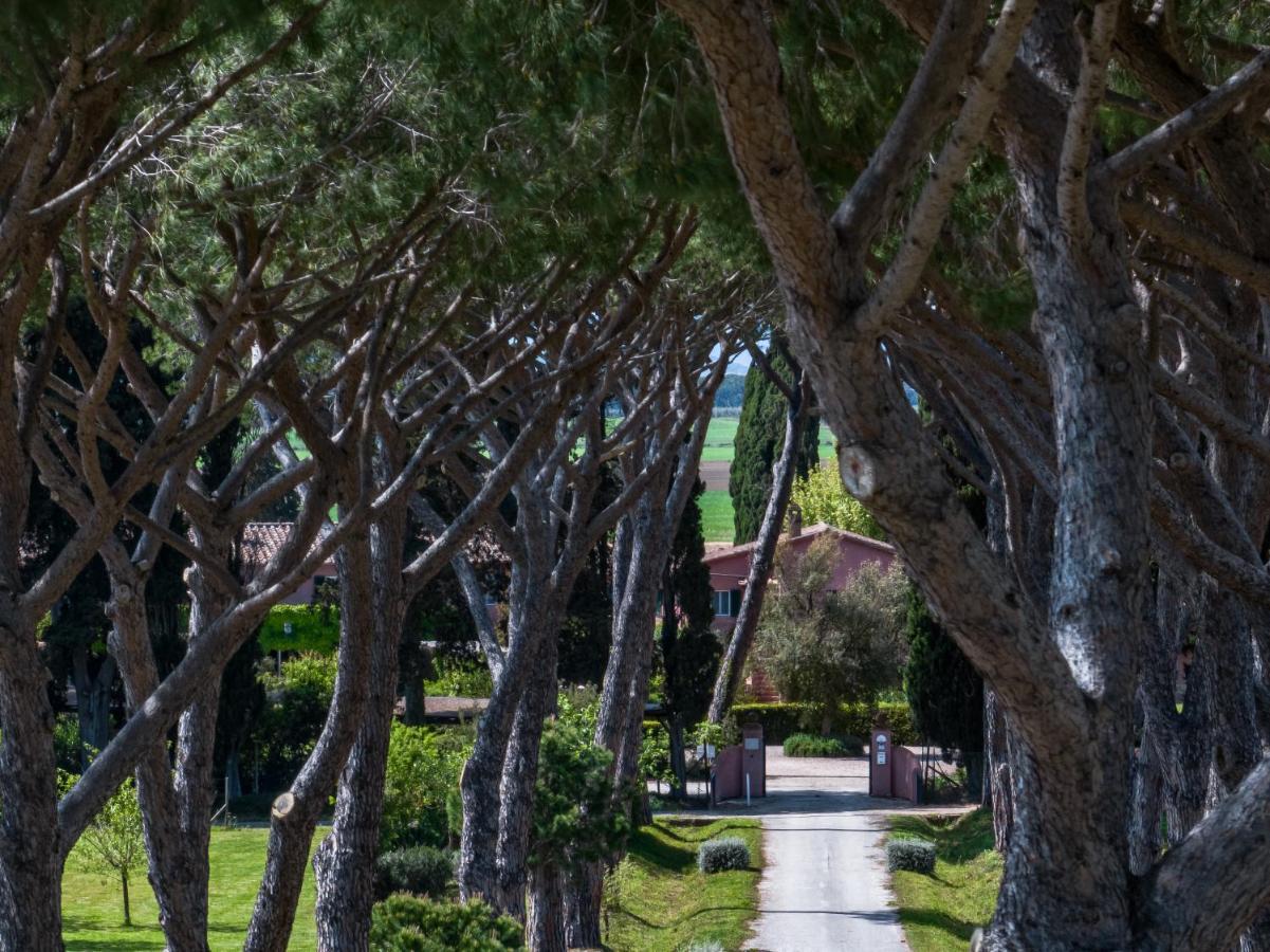 Braccagni Le Versegge Resort מראה חיצוני תמונה